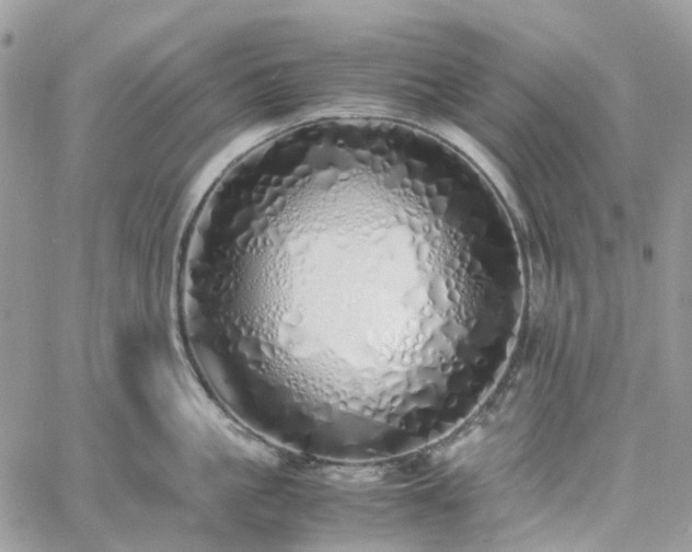 X0000060780861200511171241