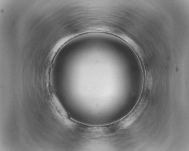 X0000060780862200511171241