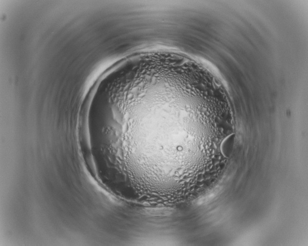 X0000060780863200511171241