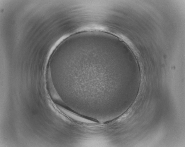 X0000060780864200511171241