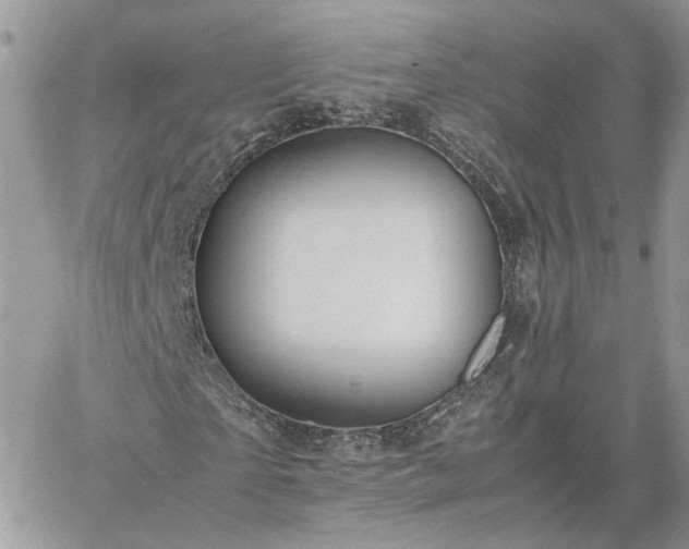 X0000060780865200511171240