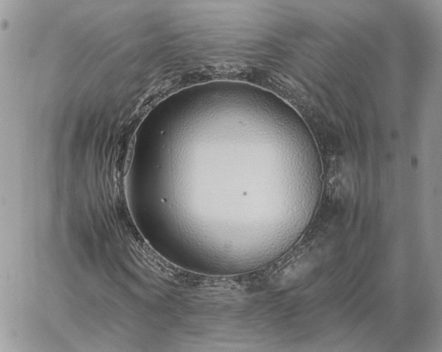 X0000060780866200511171240