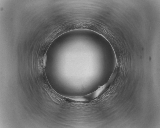 X0000060780868200511171240