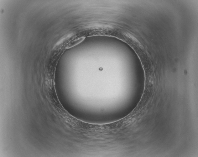 X0000060780869200511171240