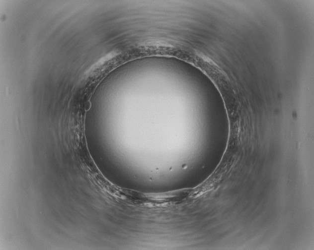 X0000060780870200511171240