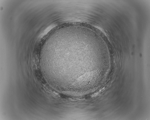 X0000060780871200511171240