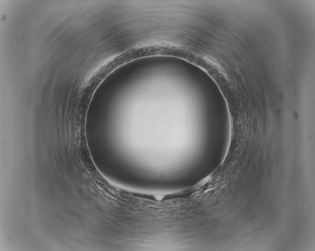 X0000060780872200511171240