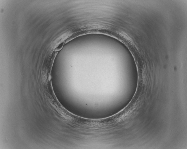 X0000060780873200511171240