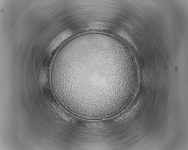 X0000060780874200511171240