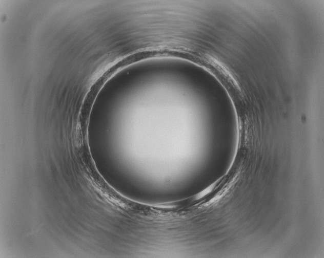 X0000060780876200511171240