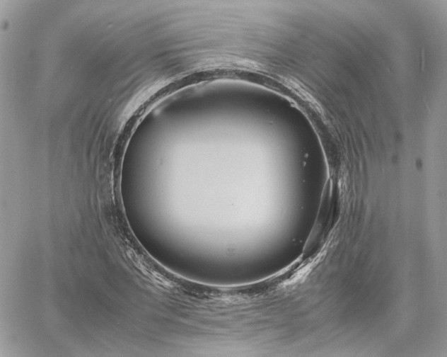 X0000060780877200511171240