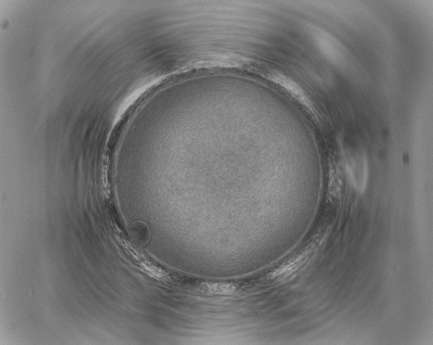 X0000060780878200511171240