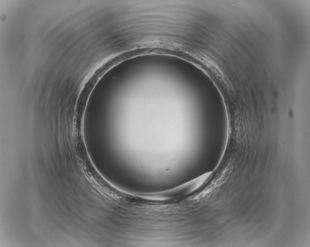 X0000060780880200511171240