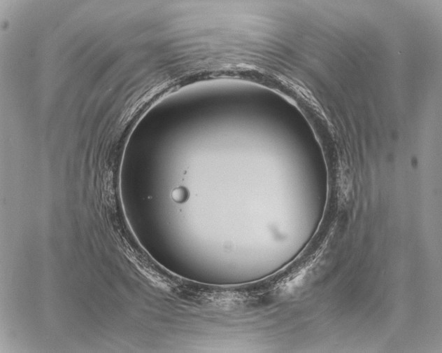 X0000060780881200511171240