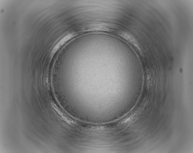 X0000060780882200511171240