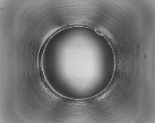 X0000060780884200511171240