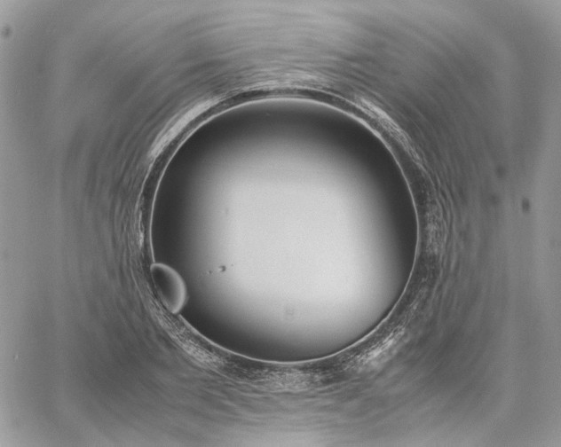 X0000060780885200511171240