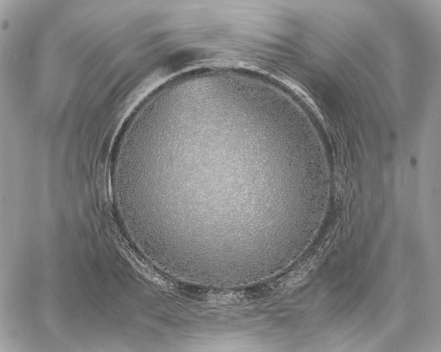 X0000060780887200511171240