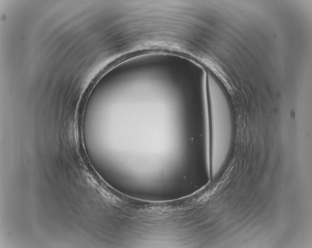 X0000060780888200511171240