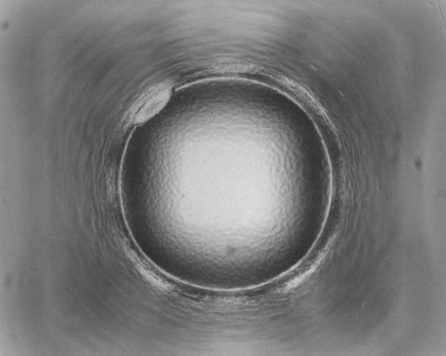 X0000060780889200511171240