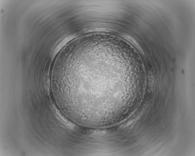 X0000060780890200511171240