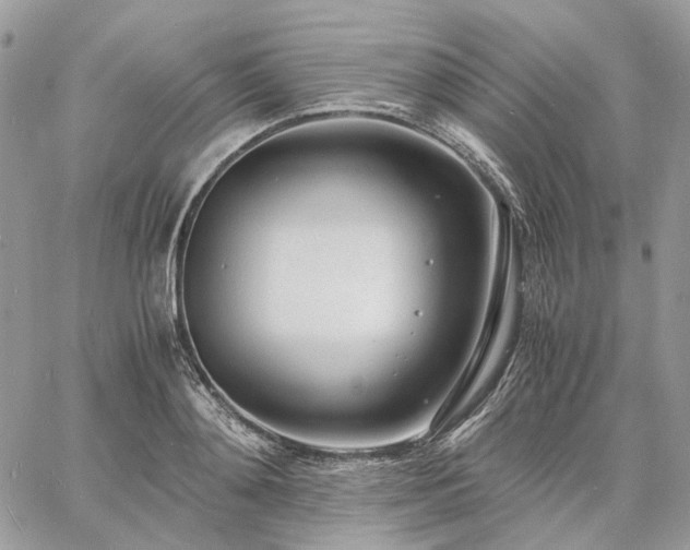 X0000060780892200511171240