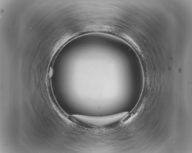 X0000060780893200511171240