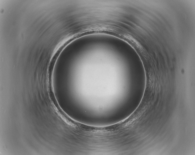 X0000060780894200511171240