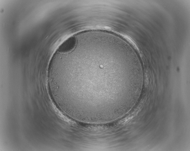 X0000060780895200511171240