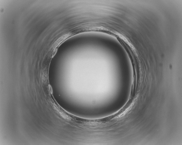 X0000060780897200511171240