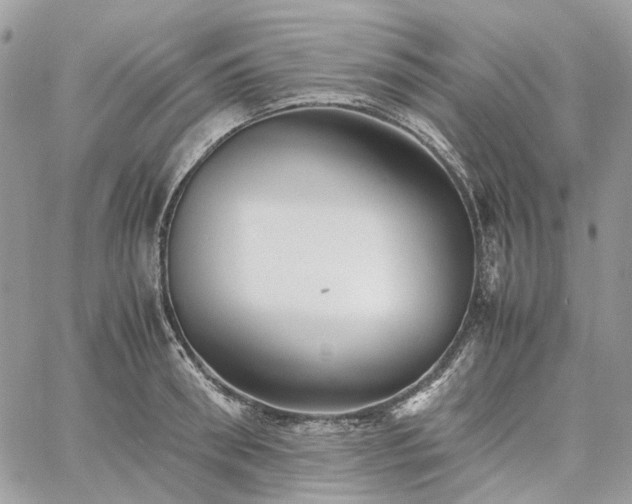 X0000060780898200511171240