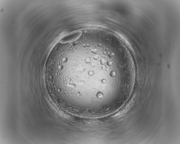 X0000060780899200511171240