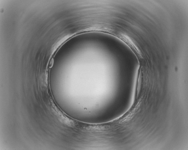 X0000060780900200511171240