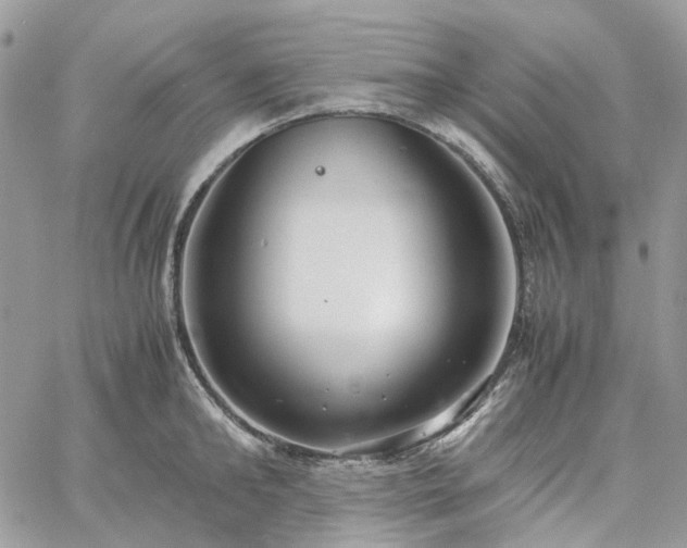 X0000060780902200511171240