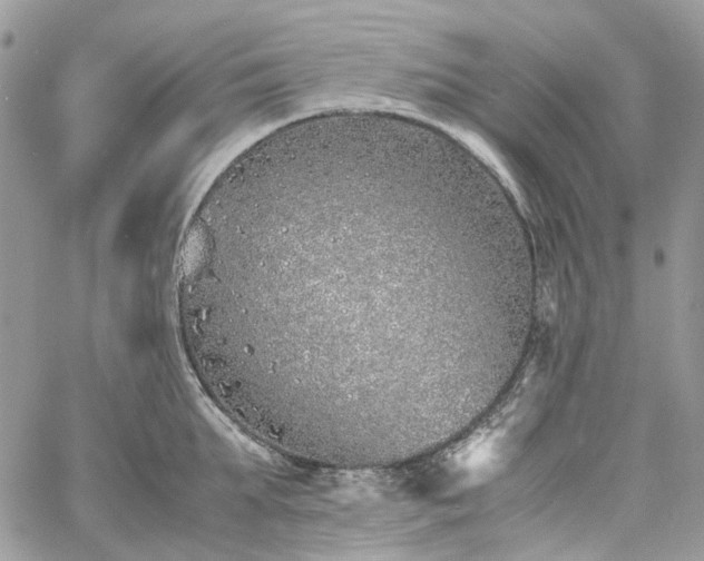 X0000060780903200511171240