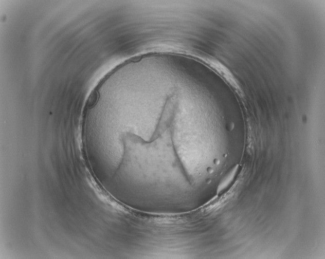 X0000060780904200511171240