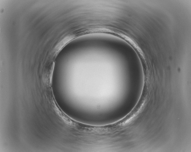 X0000060780905200511171240