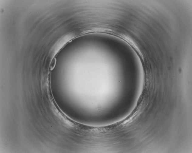 X0000060780906200511171240