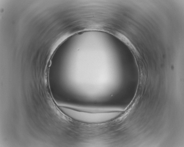 X0000060780908200511171240