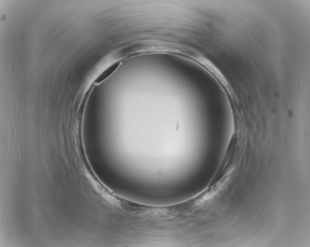 X0000060780909200511171240