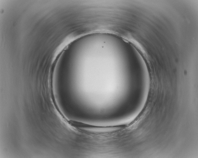 X0000060780910200511171240