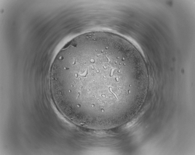 X0000060780911200511171240