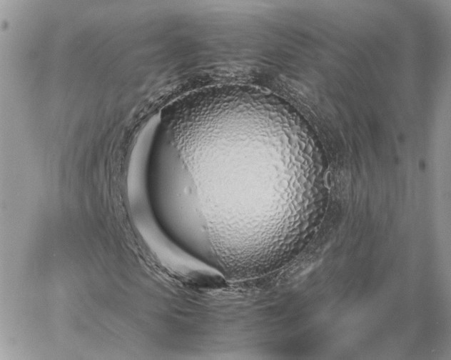 X0000060780913200511171239