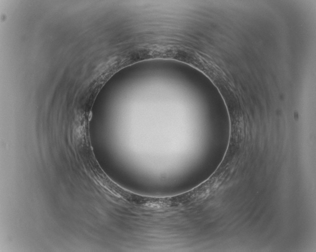 X0000060780914200511171239