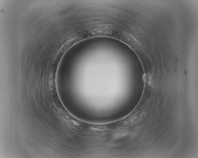 X0000060780915200511171239