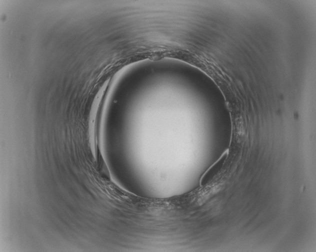 X0000060780916200511171239