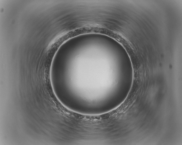 X0000060780919200511171239