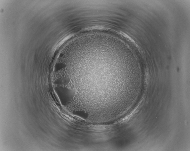 X0000060780921200511171239