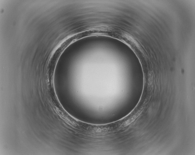 X0000060780923200511171239