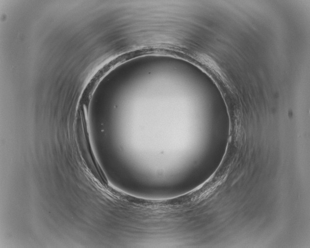 X0000060780924200511171239